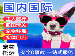 奔牛航空快递国际宠物托运 【国